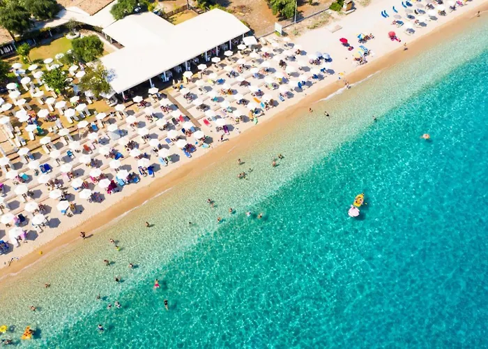 The Olive Press Bay * Agní