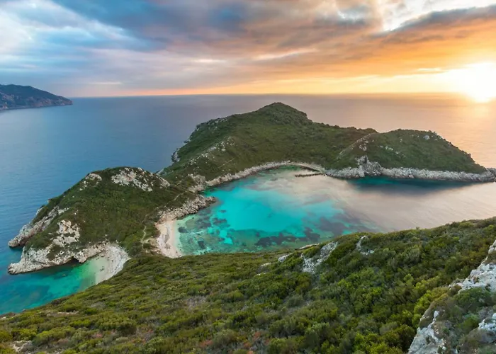 The Olive Press Bay فيلة Agní