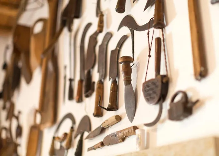 فيلة The Olive Press Bay Agní