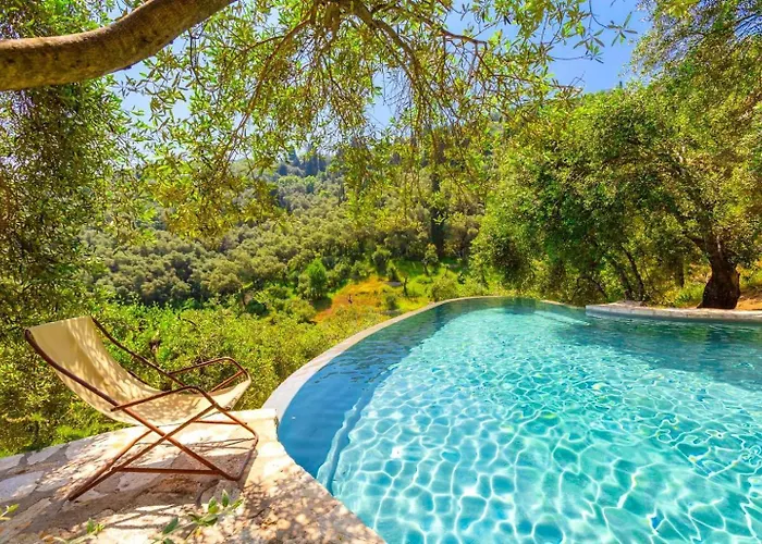 فيلة The Olive Press Bay Agní