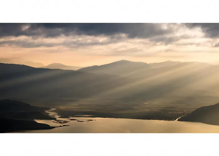The Olive Press Bay * Agní